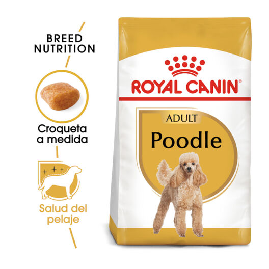 Royal Canin Adult Poodle ração para cães, , large image number null